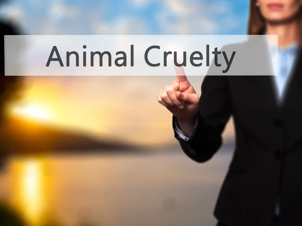 Crueldad animal - Empresaria pulsar botón de mano en el tacto scr — Foto de Stock