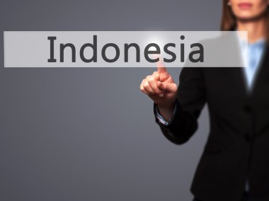 Fikri mülkiyet - işkadını el basarak düğmesini üzerinde