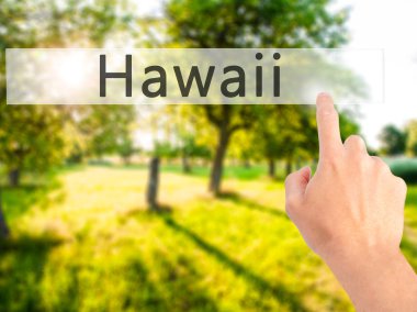 Ücretsiz teklif - dokunmatik ekran butonuna işadamı el basarak