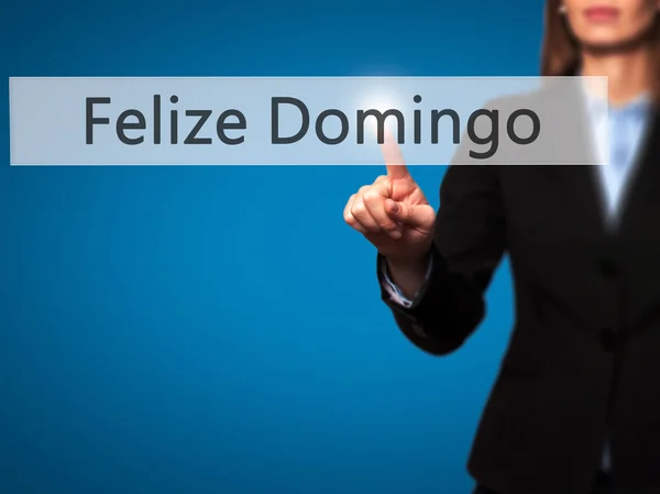 Felize Домінго (щасливий неділю Іспанська/португальською мовою) - Businesswo — стокове фото