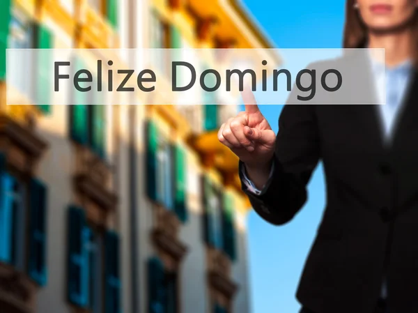 Felize Domingo (Happy Sunday In Spanish / Portuguese) - Businesswo — стоковое фото