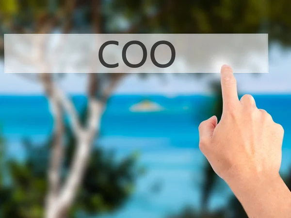 COO - Hand pressing a button on blurred background concept on vi — Stock Photo, Image