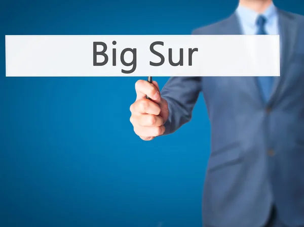 Big Sur - Panneau de tenue de main d'homme d'affaires — Photo