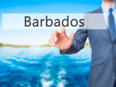 Barbados - İşadamı el dokunmatik ekran inte düğmesine basarak