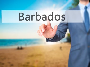 Barbados - İşadamı el dokunmatik ekran inte düğmesine basarak