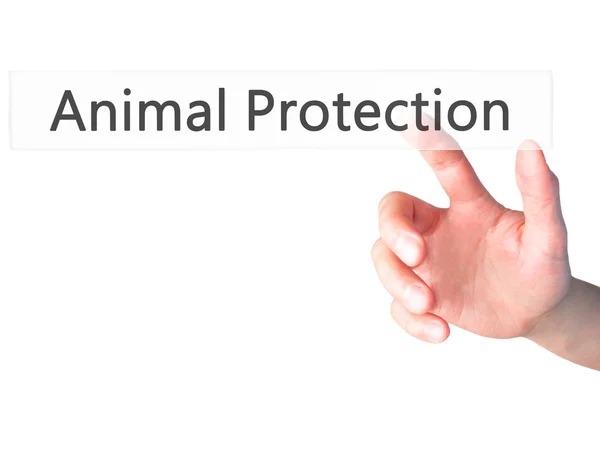 Protezione degli animali - Mano premendo un pulsante su sfondo sfocato — Foto Stock