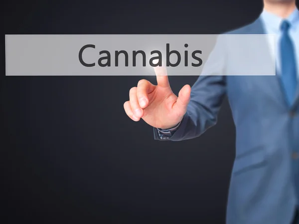 Cannabis-affärsman Klicka på Virtual touchscreen. — Stockfoto