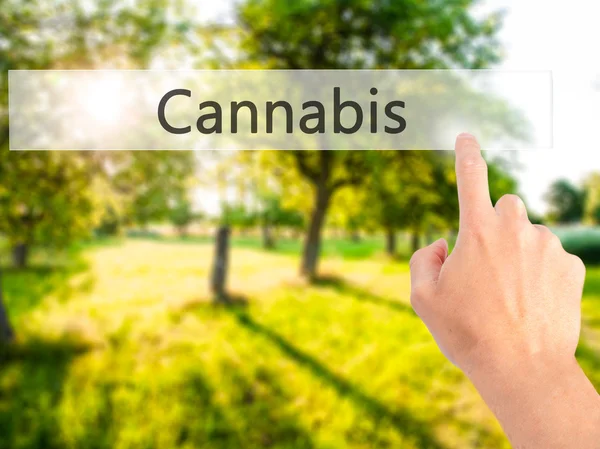 Cannabis-hand trycka på en knapp på suddig bakgrund koncept — Stockfoto
