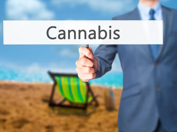 Značka Cannabis-obchodníka s držitelem ruky — Stock fotografie