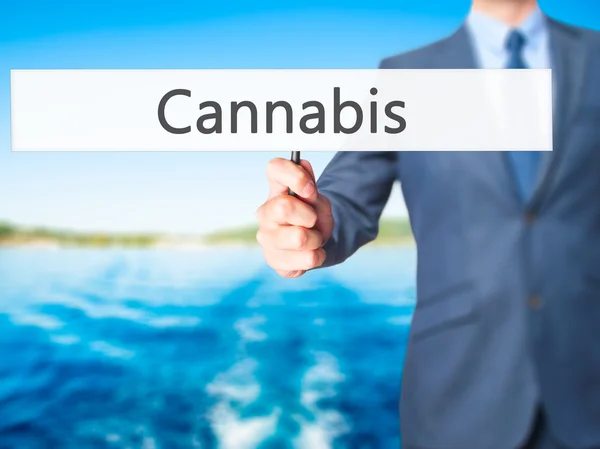 Cannabis-affärsman hand innehav Sign — Stockfoto