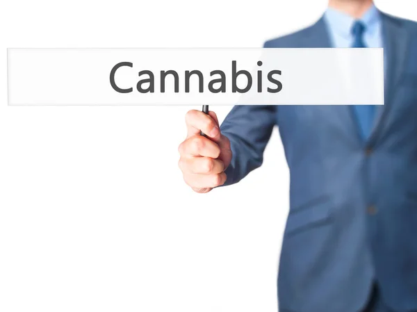 Cannabis-affärsman hand innehav Sign — Stockfoto