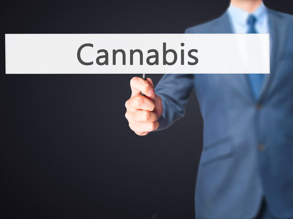 Конопля - предприниматель держит табличку
