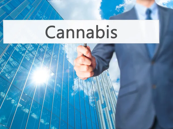 Cannabis-affärsman hand innehav Sign — Stockfoto