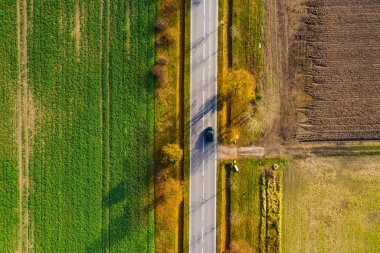 Kırsal kesimde gün batımında güzel sonbahar ormanlarındaki hava manzaralı yol. Kırsal yollu güzel manzara ve renkli yapraklı ağaçlar..