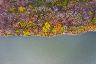 Göl kenarındaki sonbahar ormanı. Sarı ağaçlar ve mavi su. Üst Manzara. İHA atışı. Hava fotoğrafı
