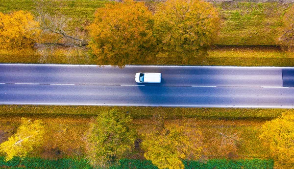 Widok Lotu Ptaka Pięknym Jesiennym Lesie Zachodzie Słońca Piękny Krajobraz — Zdjęcie stockowe