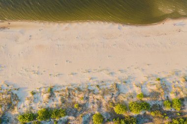 Sahile bakıyorum. Hava aracı görüntüsü. Baltık Denizi