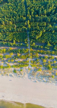 Sahile bakıyorum. Hava aracı görüntüsü. Baltık Denizi. Panorama