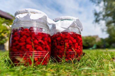 Cam bir kavanozda taze ahududu, taze ahududuların yanında. Ev yapımı reçel konsepti, kış hazırlığı, seçici odak ve kopyalama alanı
