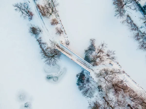 Zimowa Panorama Mrożone Drzewa Krzewy Łąki Scena Zimowa Stary Most — Zdjęcie stockowe