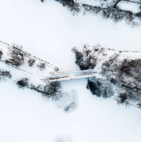 Zimowa Panorama Mrożone Drzewa Krzewy Łąki Scena Zimowa Stary Most — Zdjęcie stockowe