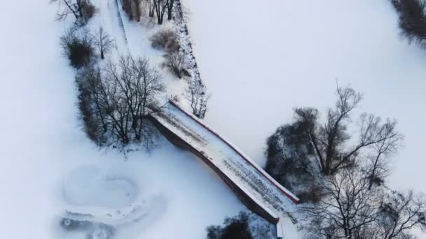 Téli panoráma. Fagyott fák, bokrok és rétek. Téli jelenet - Régi híd téli havas parkban. Légi felvétel. — Stock videók