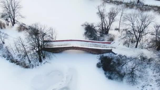 Winterpanorama. Gefrorene Bäume, Büsche und Wiesen. Winterszene - Alte Brücke im schneebedeckten Winterpark. Luftaufnahme. — Stockvideo