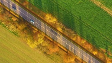 Gün batımında güzel bir sonbahar ormanında yol manzarası. Boş kırsal yolu olan güzel bir manzara, kırmızı ve turuncu yapraklı ağaçlar. Parkın içinden otoyol. Uçan İHA 'nın üst görüntüsü. Doğa