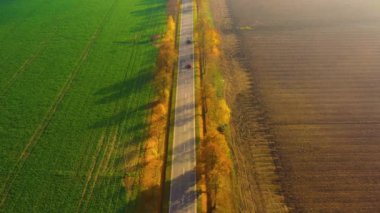 Gün batımında güzel bir sonbahar ormanında yol manzarası. Boş kırsal yolu olan güzel bir manzara, kırmızı ve turuncu yapraklı ağaçlar. Parkın içinden otoyol. Uçan İHA 'nın üst görüntüsü. Doğa