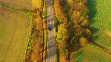 Gün batımında güzel bir sonbahar ormanında yol manzarası. Boş kırsal yolu olan güzel bir manzara, kırmızı ve turuncu yapraklı ağaçlar. Parkın içinden otoyol. Uçan İHA 'nın üst görüntüsü. Doğa
