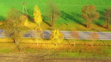 Kırsal kesimde gün batımında güzel sonbahar ormanlarındaki hava manzaralı yol. Kırsal yollu güzel manzara ve renkli yapraklı ağaçlar..