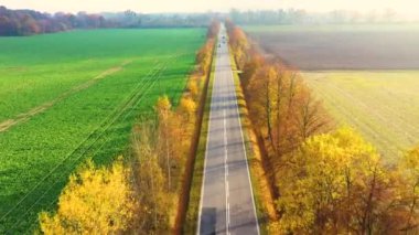 Kırsal kesimde gün batımında güzel sonbahar ormanlarındaki hava manzaralı yol. Kırsal yollu güzel manzara ve renkli yapraklı ağaçlar..