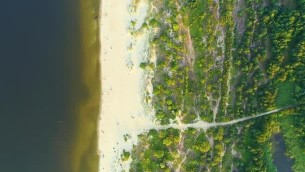 4K Vista aérea vista superior movimento drone Praia tópica bonita com areia branca. Vista superior praia vazia e limpa. Bela Jantar, praia Mikoszewo é o destino turístico famoso — Vídeo de Stock