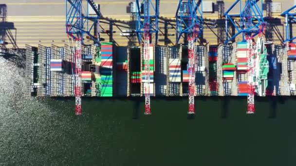 Containerschip in import export en zakelijke logistiek, Met kraan, Handelshaven, Vrachtvervoer naar haven, Luchtfoto van drone, Internationaal vervoer, Bedrijfslogistiek concept — Stockvideo