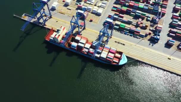 Containerschip in import export en zakelijke logistiek, Met kraan, Handelshaven, Vrachtvervoer naar haven, Luchtfoto van drone, Internationaal vervoer, Bedrijfslogistiek concept — Stockvideo