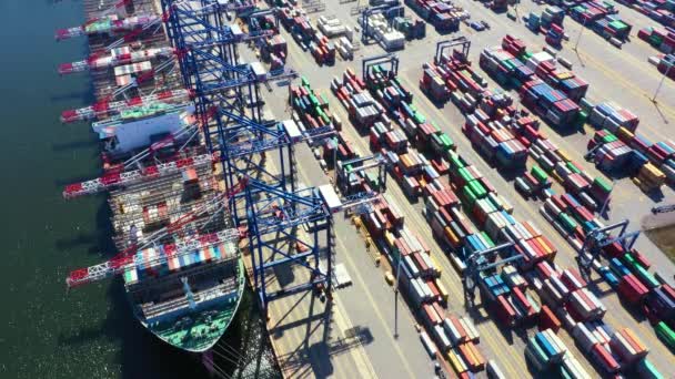 Containerfartyg från kusthamnen som arbetar för leverans containrar transport och container lager bakgrund. Lämplig användning för transport eller import till globalt logistikkoncept. — Stockvideo