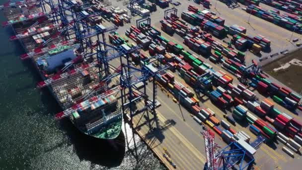 Deniz limanından gelen konteyner gemisi sevkiyat ve konteyner deposu için çalışıyor. Küresel lojistik kavramına taşımacılık veya ithalat için uygun kullanım. — Stok video