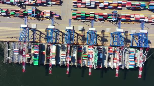 항구에서 화물선이 운송용 컨테이너와 컨테이너 창고 배경 작업을 하고 있습니다. 운송이나 수출을 위해 국제 물류 개념에 적절 한 용도로 사용되거나. — 비디오