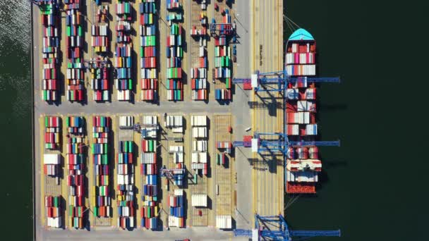 Nave container in attività di esportazione e importazione e logistica. Spedizione merci al porto con gru. Trasporto marittimo internazionale. Vista aerea e vista dall'alto. — Video Stock