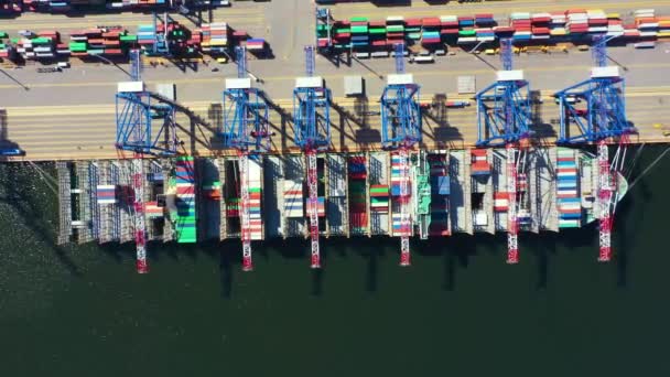 Nave container in attività di esportazione e importazione e logistica. Spedizione merci al porto con gru. Trasporto marittimo internazionale. Vista aerea e vista dall'alto. — Video Stock