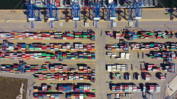 Container skib i eksport og import forretning og logistik. Fragt fragt til havn med kran. Vandtransport International. Luftvisning og topvisning. – Stock-video