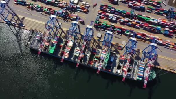 Nave container in attività di esportazione e importazione e logistica. Spedizione merci al porto con gru. Trasporto marittimo internazionale. Vista aerea e vista dall'alto. — Video Stock