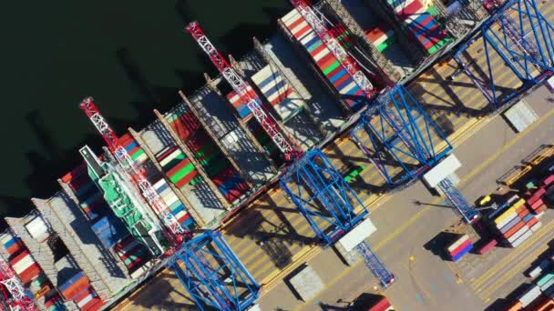 Deniz limanından gelen konteyner gemisi sevkiyat ve konteyner deposu için çalışıyor. Küresel lojistik kavramına taşımacılık veya ithalat için uygun kullanım. — Stok video