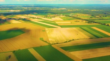 Farklı sarı ve yeşil renkli tarımsal ürünlerin soyut geometrik şekilleri. Hava görüntüsü doğrudan alanın üstündeki İHA 'dan çekiliyor