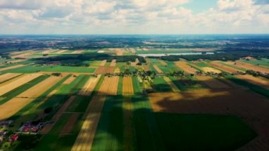 Güzel bir doğa manzarasının uçan insansız hava aracının, sağlıklı bir şekilde büyüyen fotoğrafı. Çiftliği olan güzel manzara.