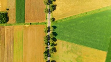 Yazın hasattan önce yeşil tarlaların hava manzarası. Yol havası