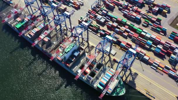 Nave del contenitore dal porto marittimo che lavora per la spedizione dei container di consegna e lo sfondo del magazzino del contenitore. Utilizzo appropriato per il trasporto o l'importazione di esportazione verso il concetto di logistica globale. — Video Stock