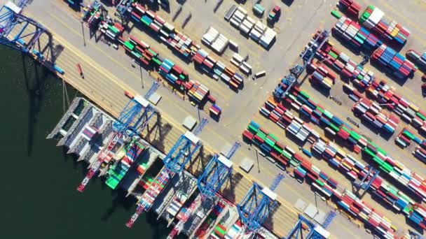 輸出と輸入ビジネスと物流のコンテナ船。クレーンで港へ貨物を輸送する。水輸送国際。空中風景 — ストック動画