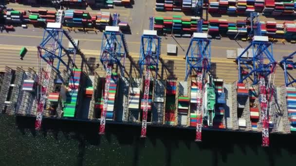 Container schip in export en import business en logistiek. Vrachtvervoer naar de haven met een kraan. Vervoer over water International. Luchtzicht — Stockvideo