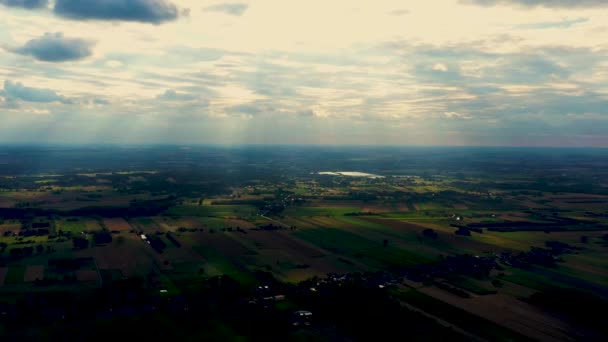 Formas geométricas abstractas de parcelas agrícolas de diferentes cultivos en colores amarillo y verde. Vista aérea disparar desde el dron directamente sobre el campo — Vídeos de Stock